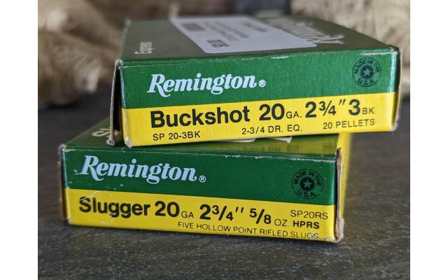 10 Rounds of Remington 20Gauge Shells