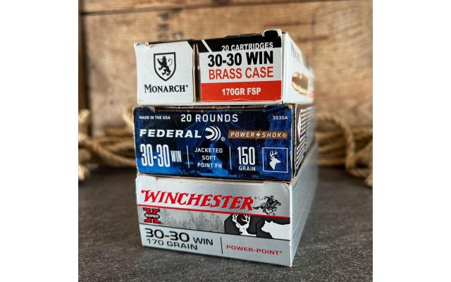 60 Rounds of .30-30Win Ammo