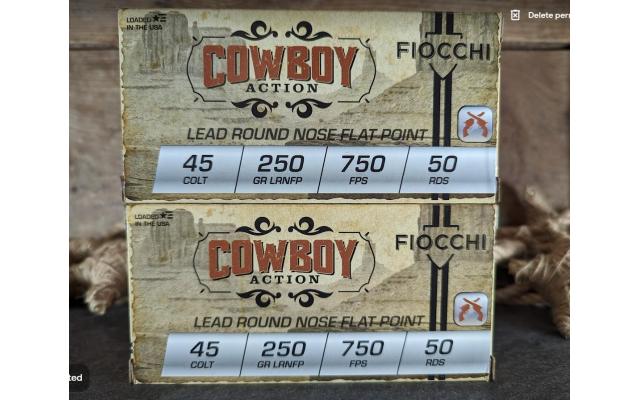 100 Rounds of Fiocchi 250Gr .45Colt Ammo