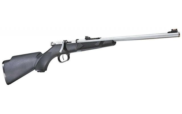 Henry Mini Bolt Rifle 16.25" .22LR, Stainless - NEW!