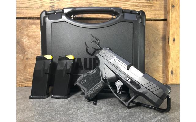 New Taurus GX4 9mm